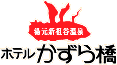 Shin-Iya onsen Hotel Kazurabashi